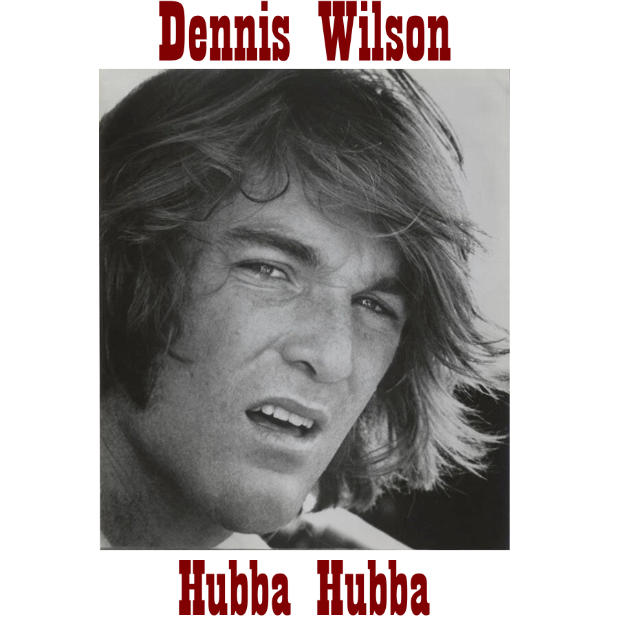 pochette de Wilson Phillips Sing Brian Wilson